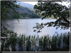 foto Lago della Serraia